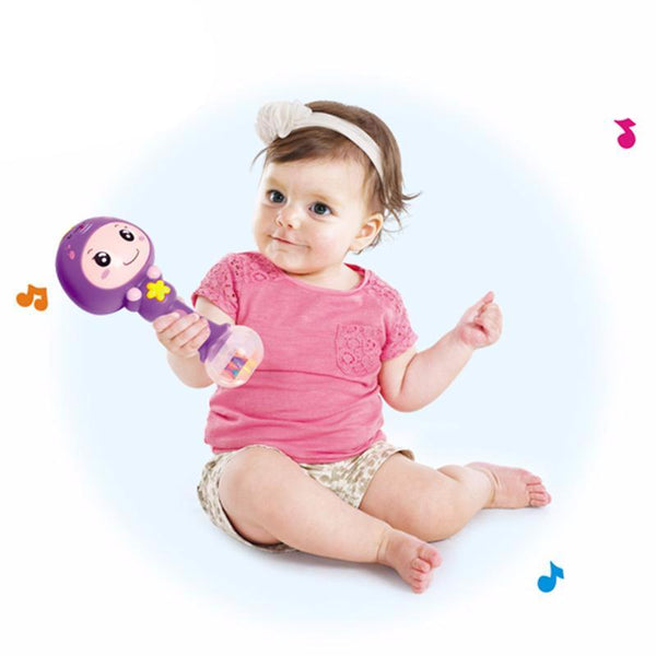 Baby's Musical Shaker Rattles Toy